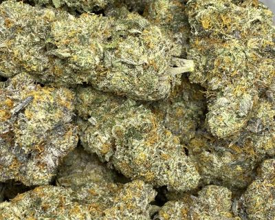 ANIMAL COOKIES (EXOTIC) - Image 5